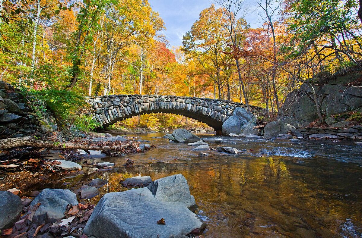 Spam Filter Costs Small Business a Park Service Contract as GAO Rejects Quarantined-Quote Protest
