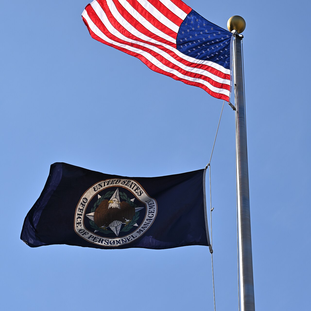 Federal workforce reduction RIF contractor impact