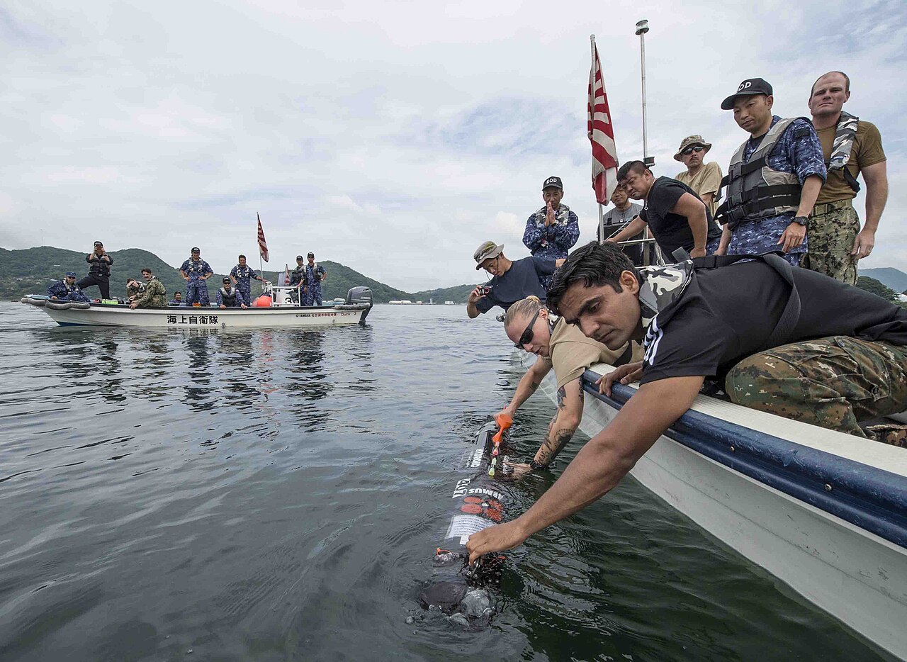 HII Unmanned Systems Gets $37M Lionfish Small Unmanned Undersea Vehicle Contract Modification